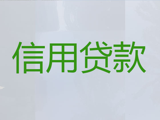 惠东贷款公司-信用贷款